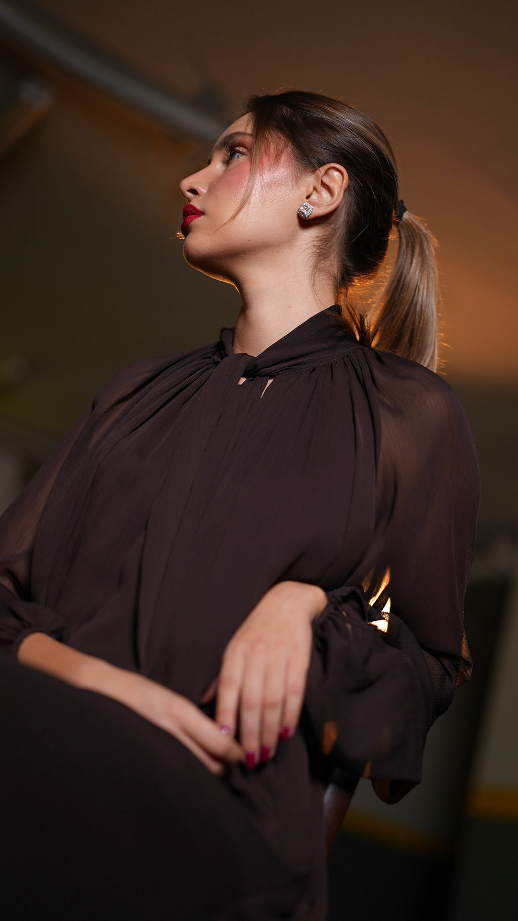 Close front view of dark chocolate-brown dress with gathered neckline, pleated front and transparent sleeves