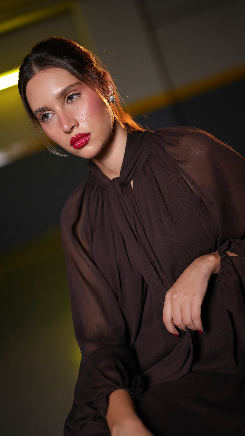 Close front view of dark chocolate-brown dress with gathered neckline, pleated front and transparent sleeves